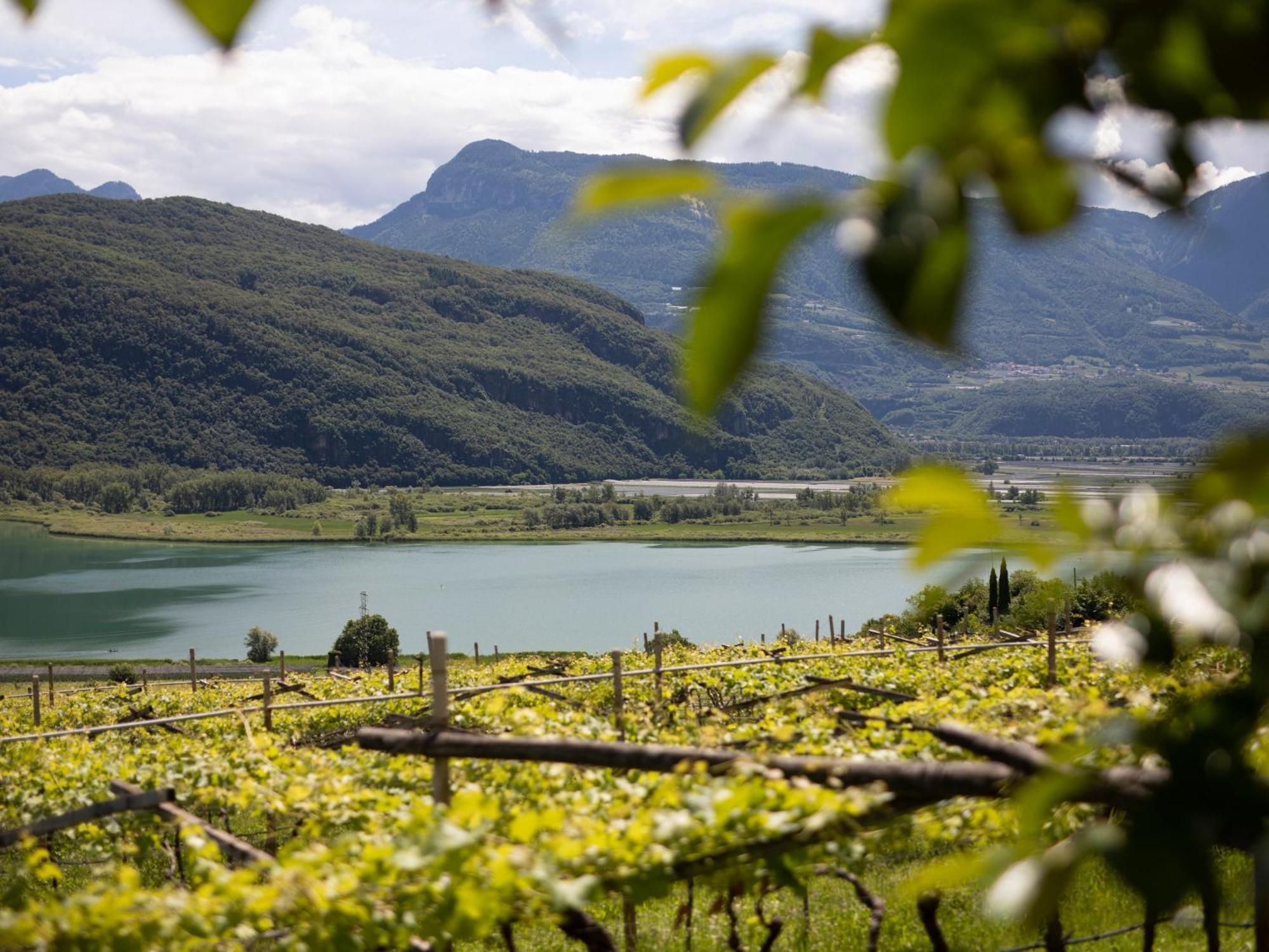 Arzenhof, Baron Di Pauli Διαμέρισμα Caldaro Εξωτερικό φωτογραφία
