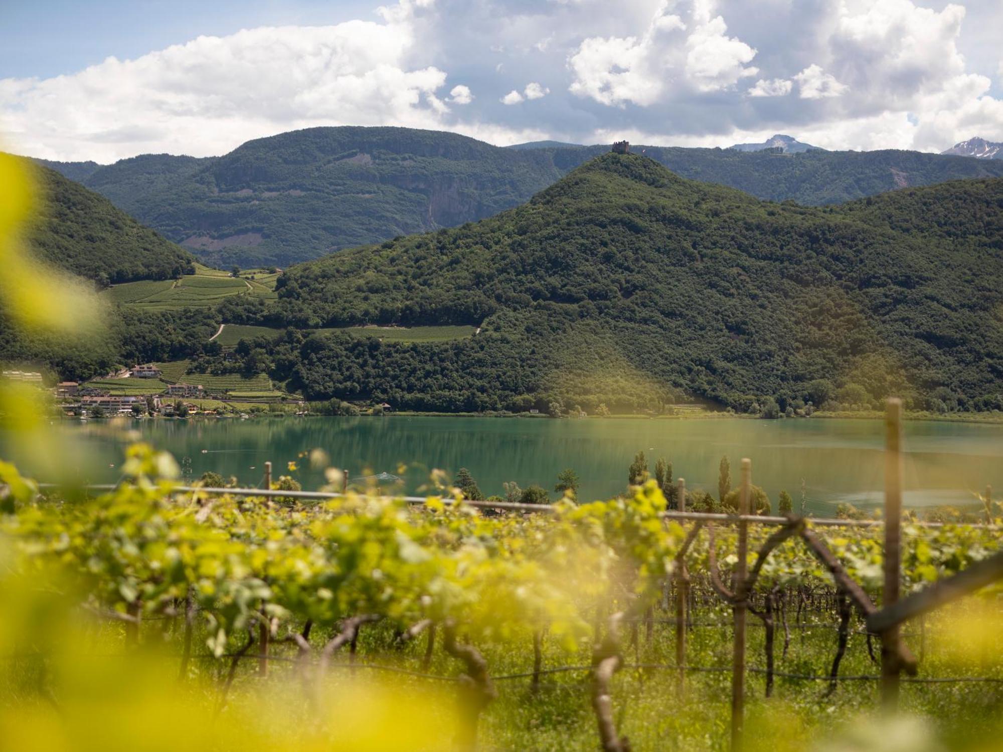 Arzenhof, Baron Di Pauli Διαμέρισμα Caldaro Εξωτερικό φωτογραφία